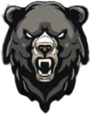 Bears
